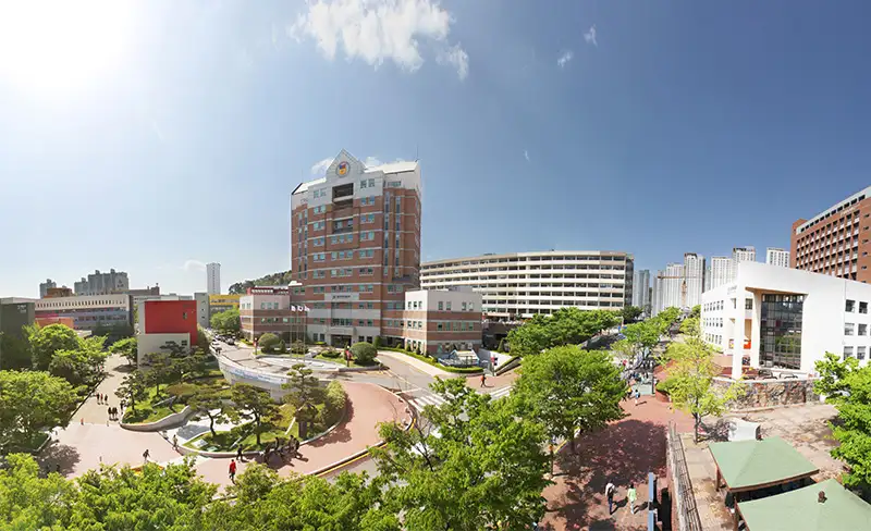 제목